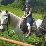 Polonina 3*