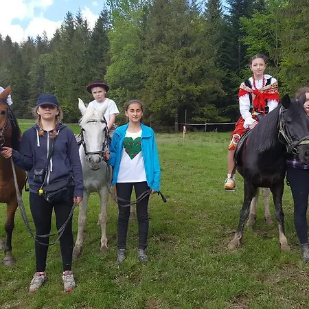 بيت ضيافة Polonina