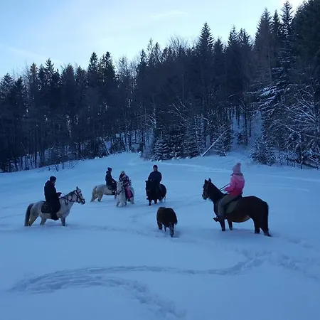 Polonina بيت ضيافة 3*