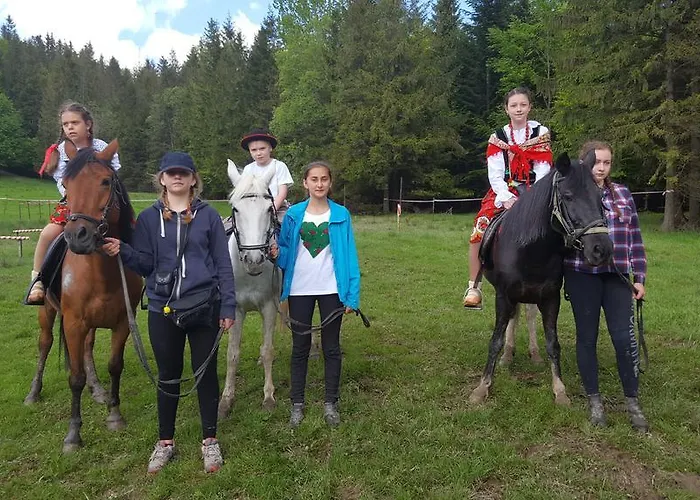 بيت ضيافة Polonina