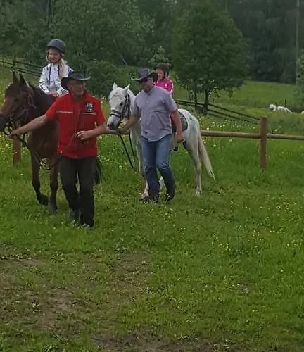 بيت ضيافة Polonina 3*