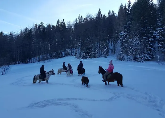 Polonina بيت ضيافة 3*